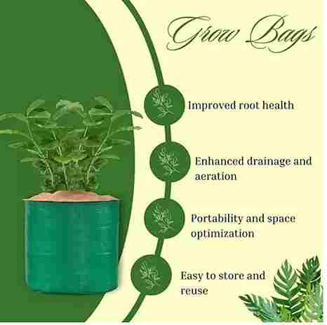 Organic Mix Varieties 100 Pices Seeds With 5 Pices Grow Bag Re