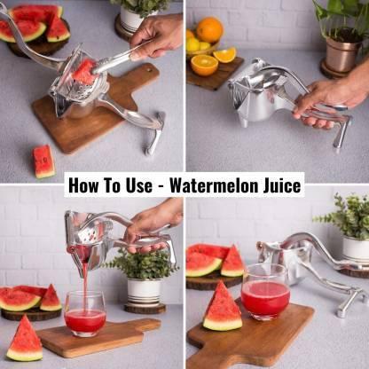 India's Best Aluminum Fruit Juicer Regular