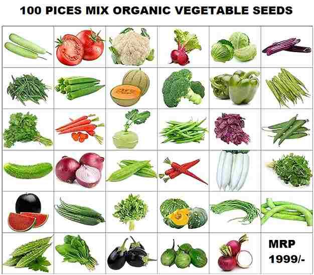Organic Mix Varieties 100 Pices Seeds With 5 Pices Grow Bag Re