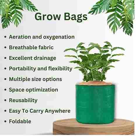 Organic Mix Varieties 100 Pices Seeds With 5 Pices Grow Bag Re