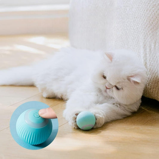 Rechargeable  Rotating Cat Toy LED Ball
